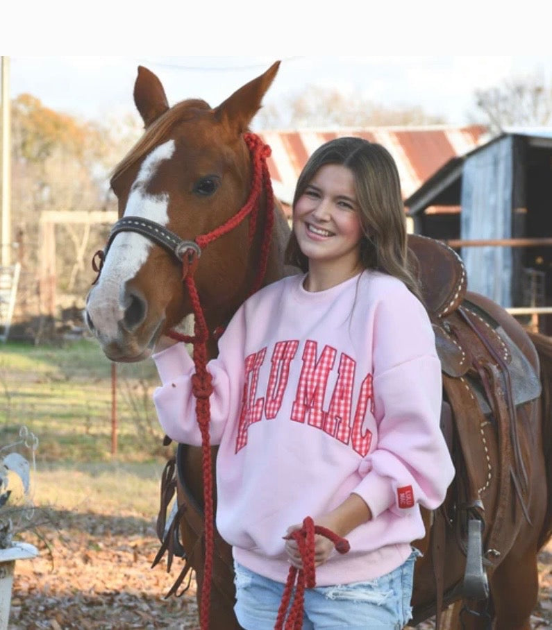 LULU MAC PINK W/ RED GINGHAM