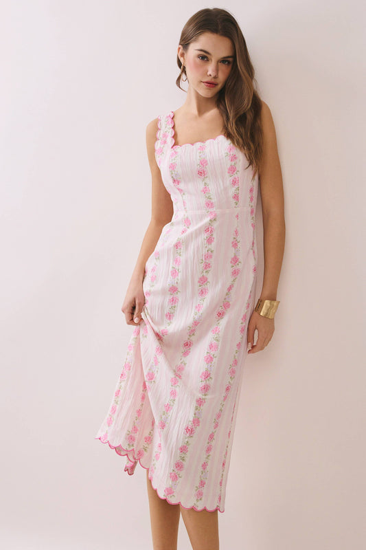 Blush Garden Scallop Dress