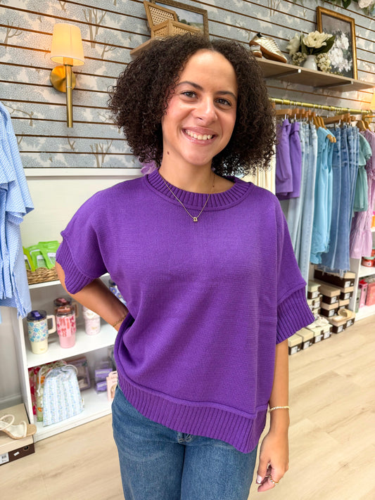 Plum Perfect Sweater Top