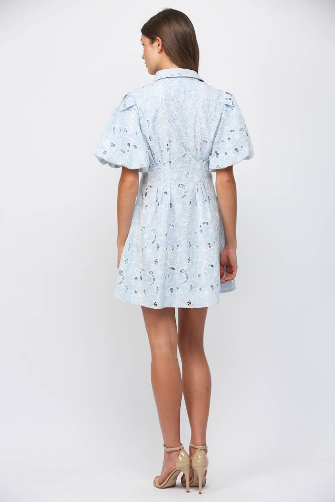 Camille Lace Puff Sleeve Dress