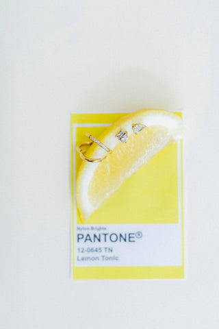 Pantone color swatch with a lemon slice on a white background