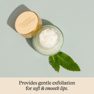 Lip exfoliator jar with gold lid and green leaf on light blue background