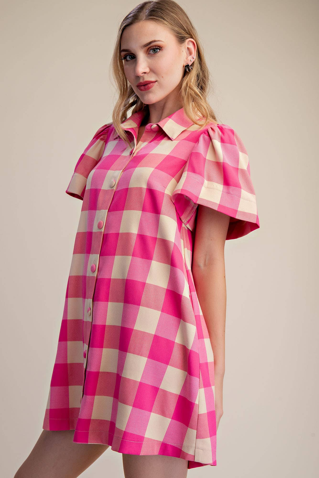 Poppy Gingham Button Down Mini Dress