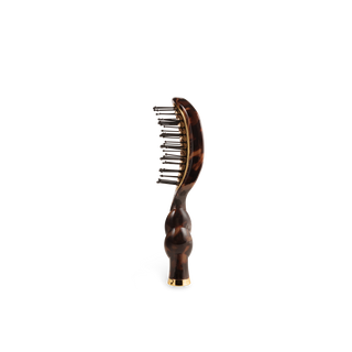 Hairbrush with tortoiseshell handle on a white background