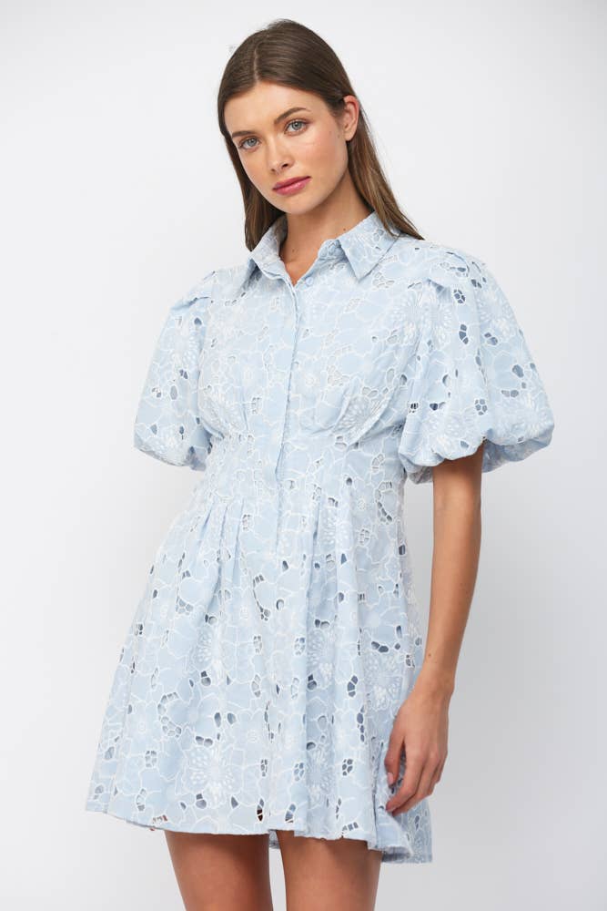 Camille Lace Puff Sleeve Dress