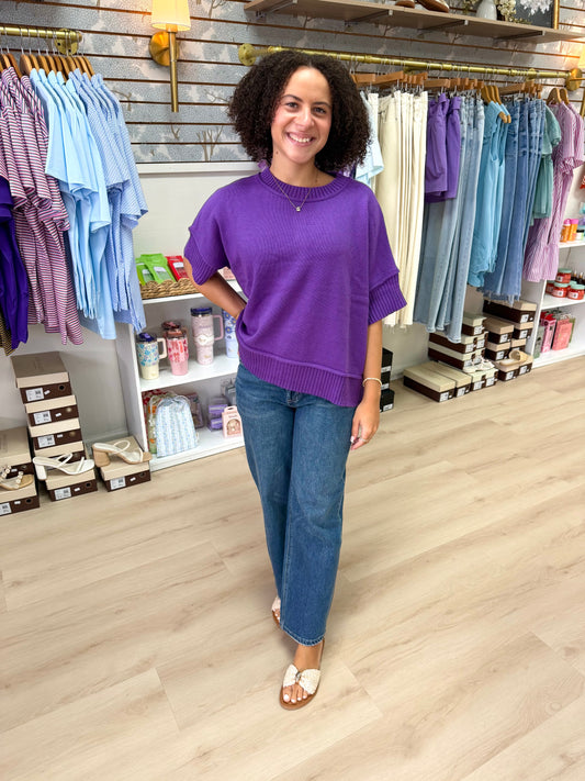 Plum Perfect Sweater Top