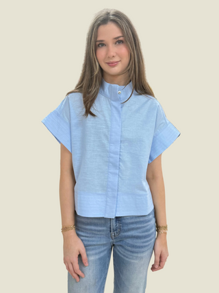Blue Hydrangea Top