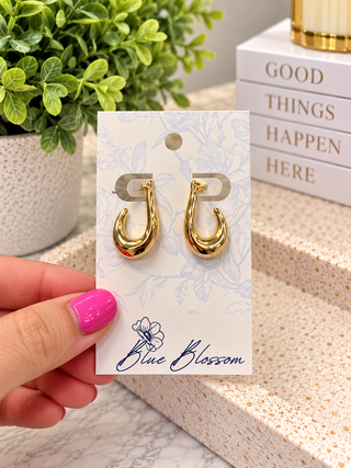 Erica Hoops