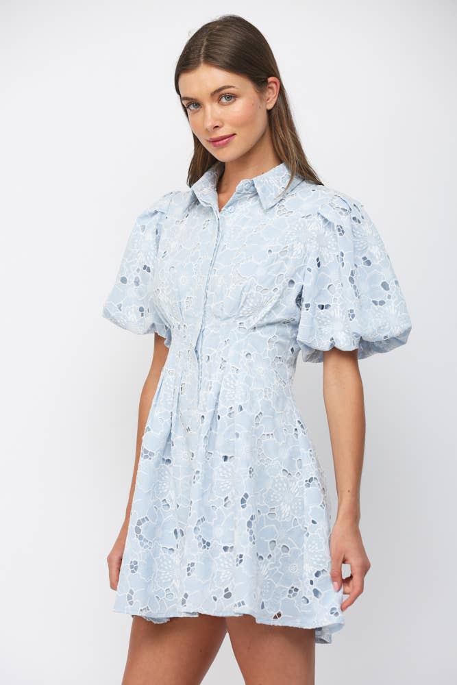 Camille Lace Puff Sleeve Dress