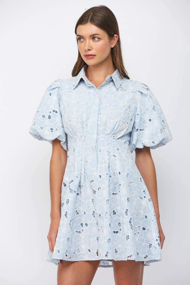 Camille Lace Puff Sleeve Dress