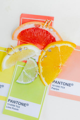 Pantone color swatches with fruit slices on a white background