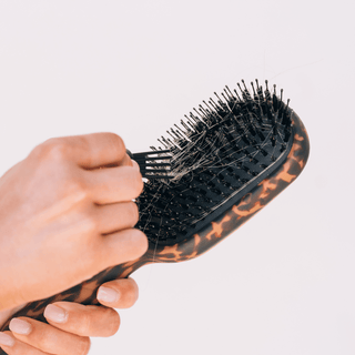 Teleties tortoise full size boar bristle hair brush, view 9