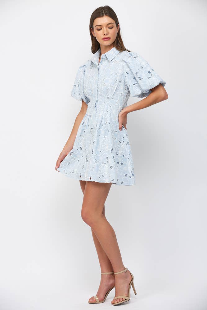 Camille Lace Puff Sleeve Dress