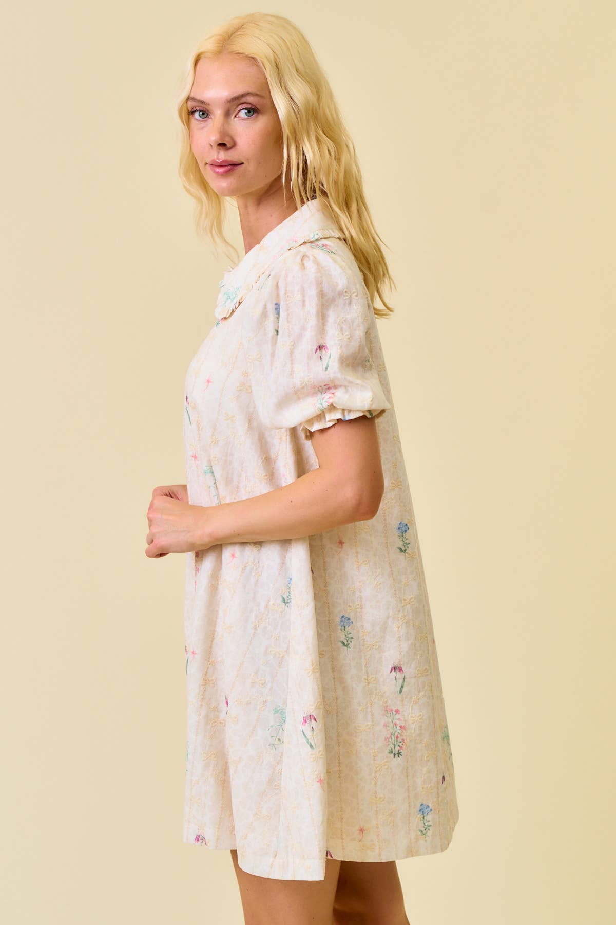 Tara Swing Dress
